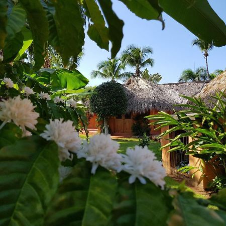 Solazul Bed & Breakfast Las Galeras Eksteriør bilde