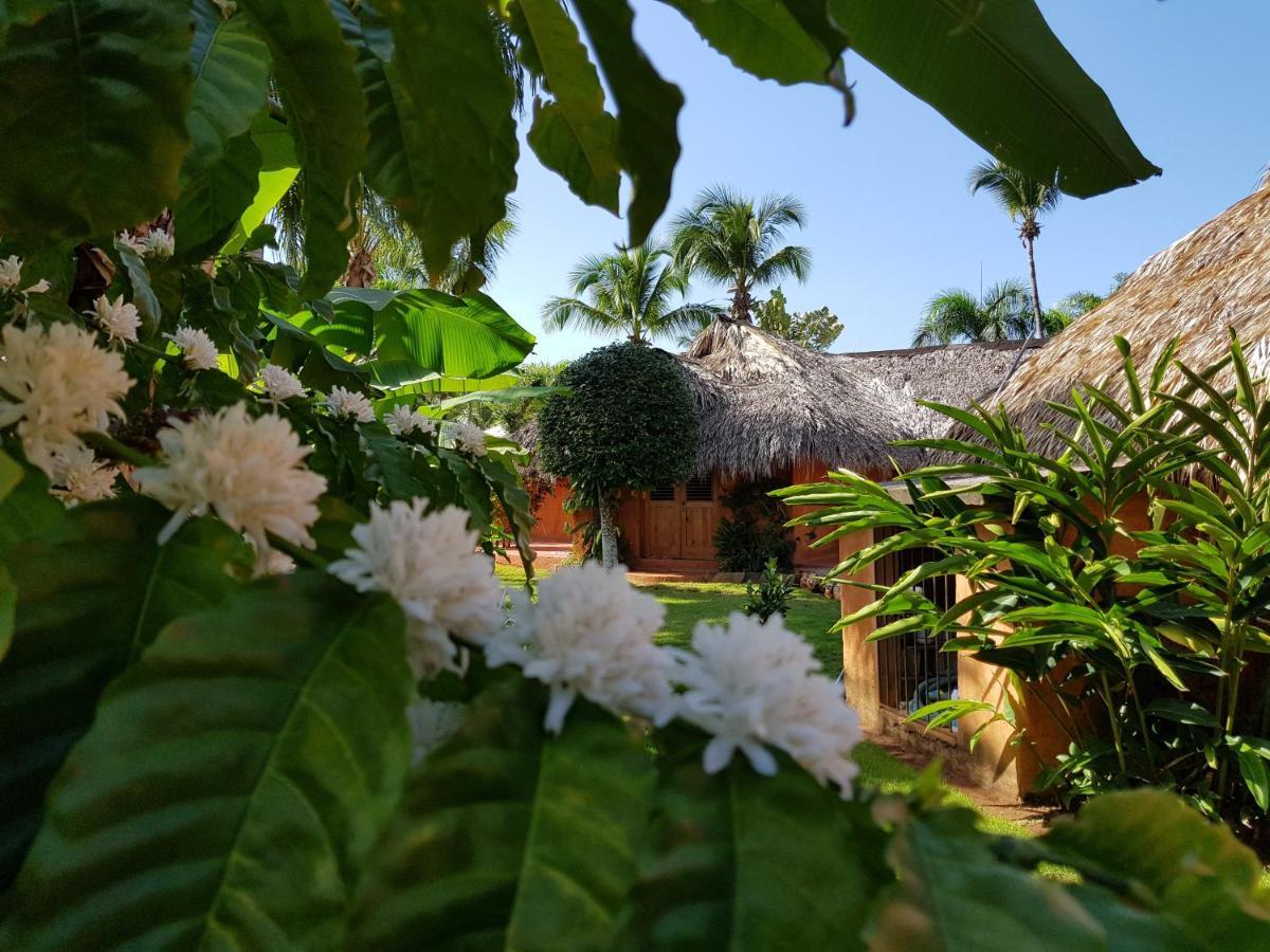 Solazul Bed & Breakfast Las Galeras Eksteriør bilde