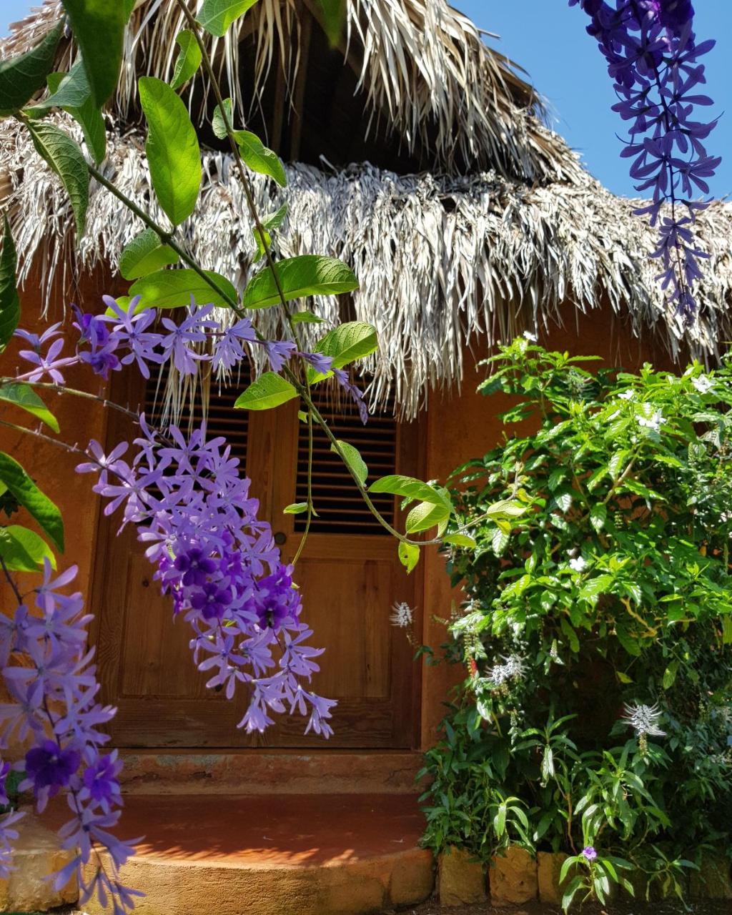 Solazul Bed & Breakfast Las Galeras Eksteriør bilde